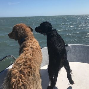 Meet your Posher, Jillian